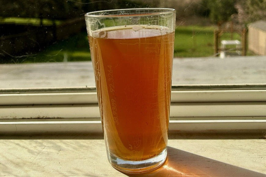 Lemon Ginger Kombucha